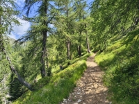 IMG_20260622_114110265_HDR