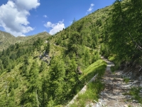 IMG_20260622_114809423_HDR