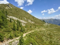 IMG_20260622_121406221_HDR