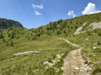 IMG_20260622_121508040_HDR