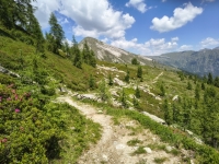 IMG_20260622_121631864_HDR