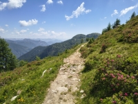 IMG_20260622_123911226_HDR