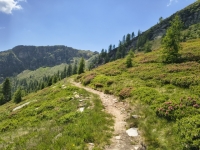 IMG_20260622_124320563_HDR