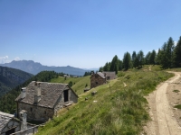 IMG_20260622_134152740_HDR