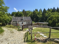 IMG_20260622_150834763_HDR