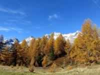 Alpe di Folcra