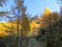 In direzione dell'Alpe Cassina