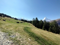 Panorama in direzione di Sunnegga - A dx la catena del Monte Rosa, a sx il Cervino
