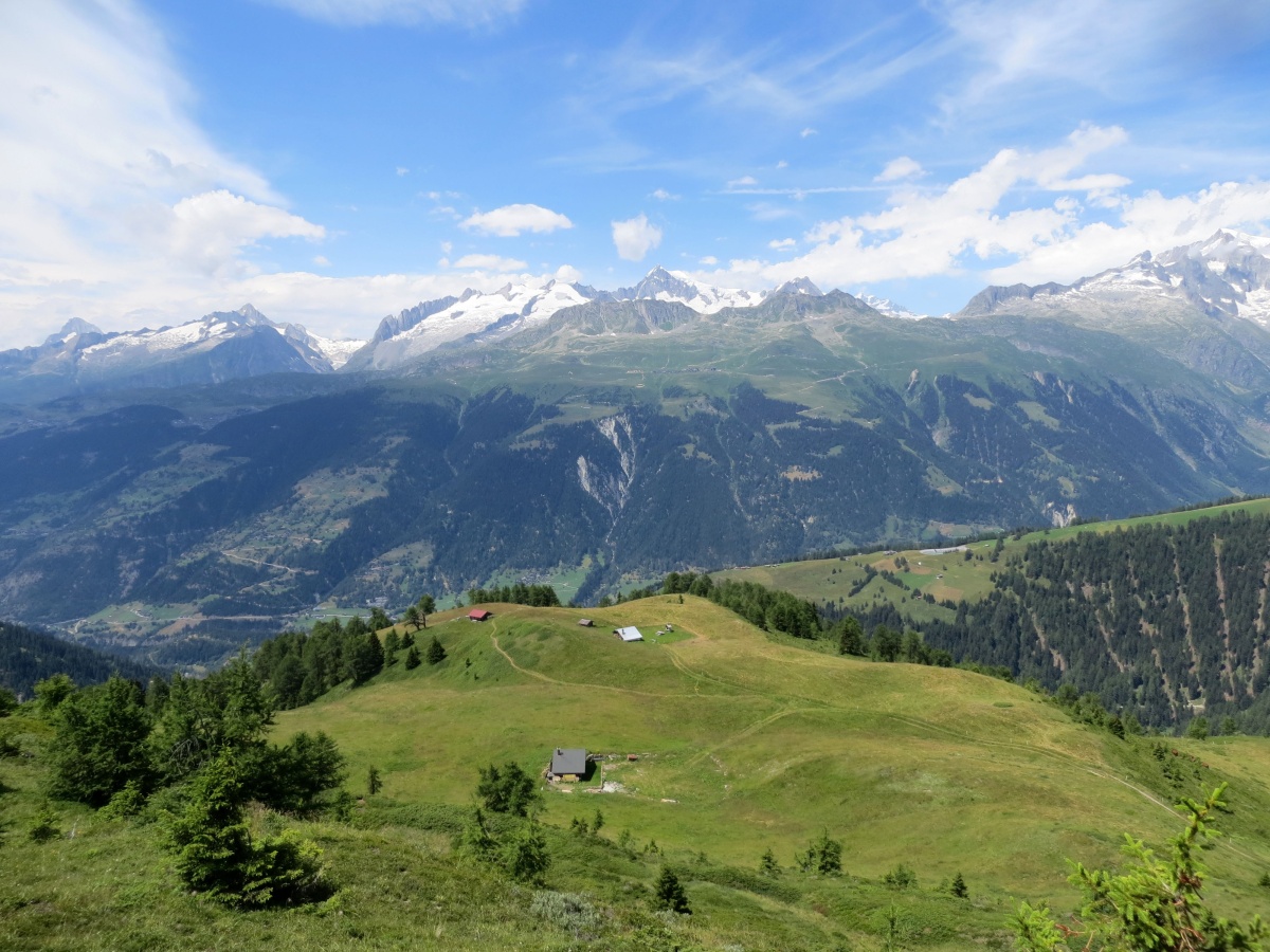 L'alpe Aebnimatt e l'Aletscharena sullo sfondo