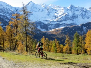 Alpe Piota