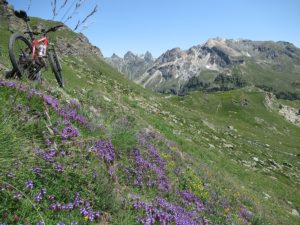Alpe Rachè