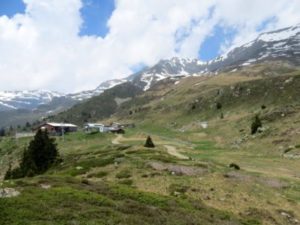 Alpe di Cari