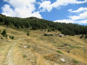 Alpe di Viou