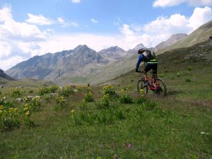 Discesa nel vallone di Grauson