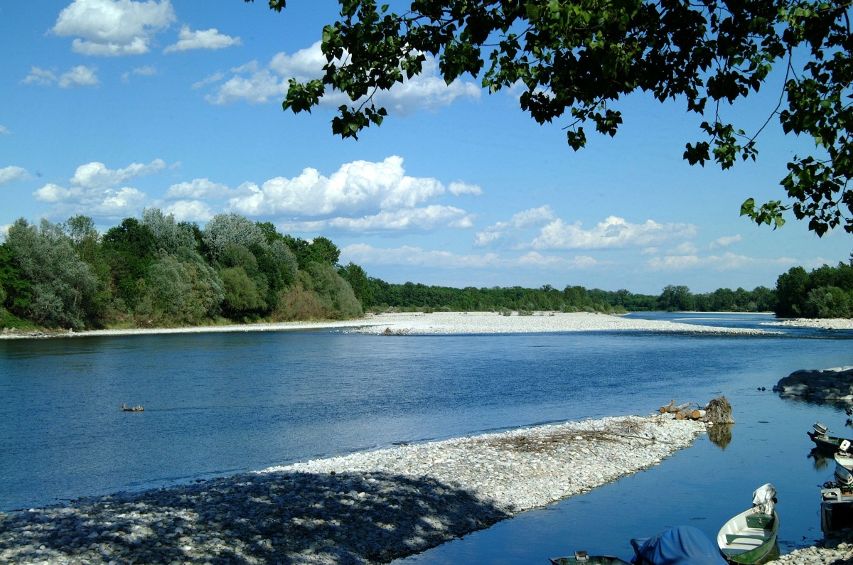 Foto Parco Ticino - particolare del fiume