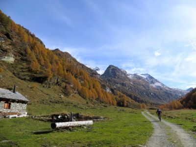 Lungo la Val Carassino nei pressi dell'omonima Alpe