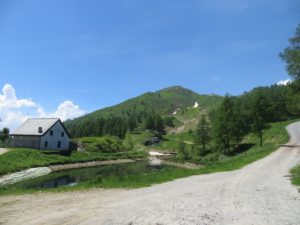 La cima del Moncucco dal Alpe Casalavera