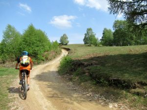 Salita al Monte del Falo percorrendo la passeggiata degli alpeggi