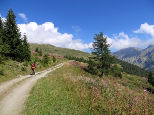 Lungo la poderale che risale in quota il vallone