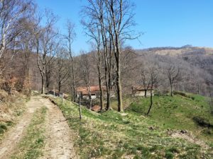 Mottarone Bike - Alpe Nuovo