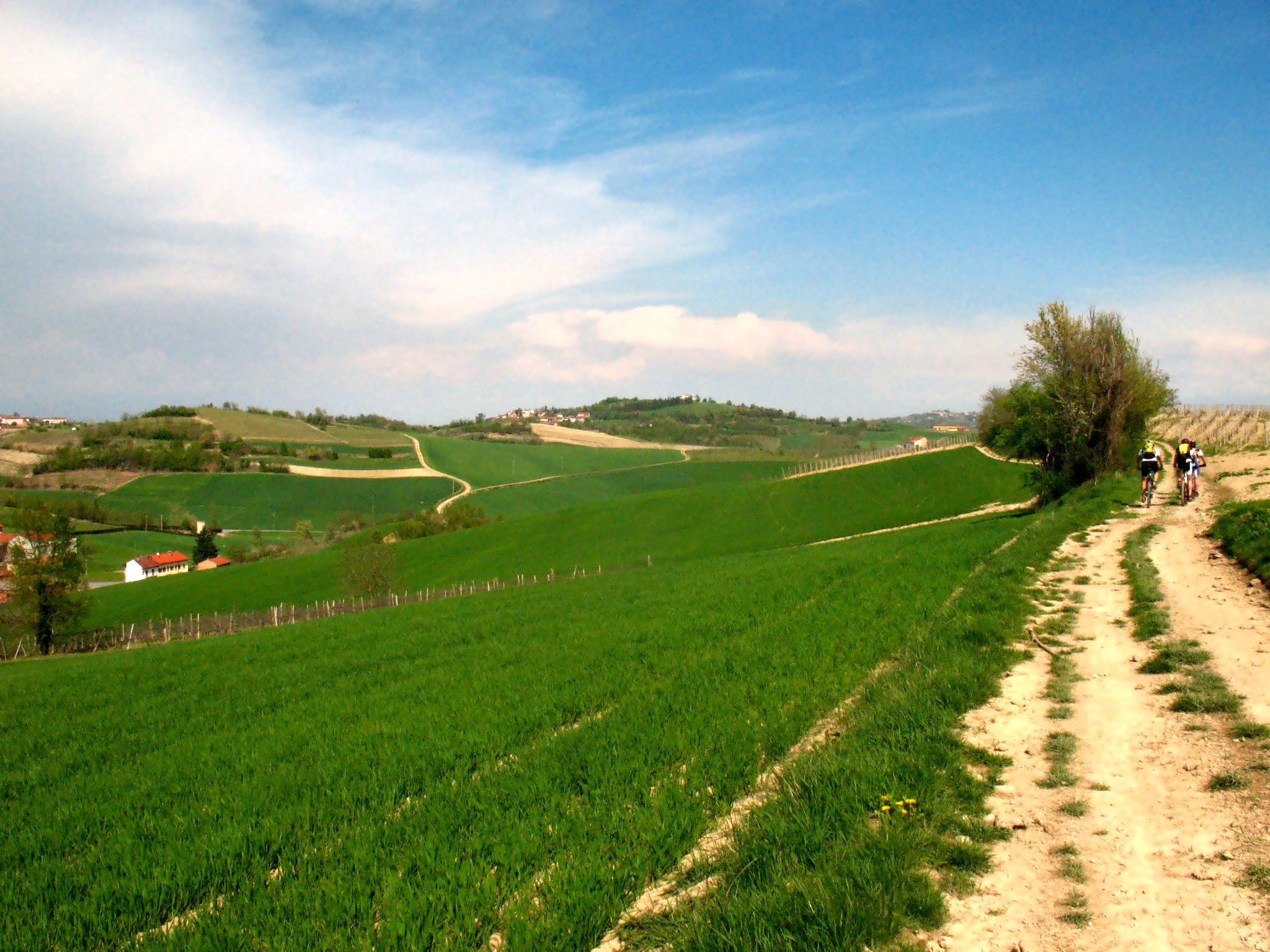 Paesaggio collinare del Monferrato
