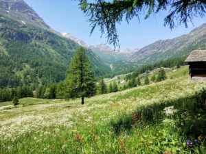 Panorama sulla vallata di Simplon Dorf