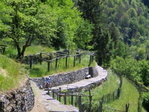 Percorrendo la Via delle Vose