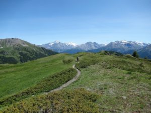 Trail discesa dal Col Fetita