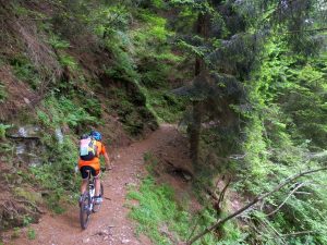 Trail dopo Pianturino in direzione della Cima di Medeglia