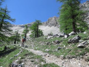 Trail per il Lago Deserts