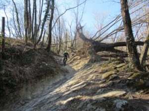 Discesa dal Monte di San Genesio