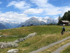 Vista sul Bietschhorn