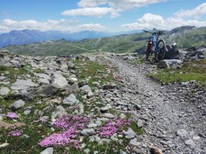 Vorab trail